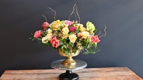 3 The Secret Conservatory ProductCarouselURL
