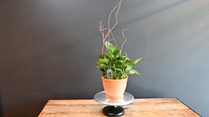 3 Garden Party ProductCarouselURL