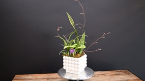 3 Serenity Gardens ProductCarouselURL