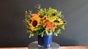 3 Midnight Meadow ProductCarouselURL