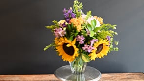 3 Beautiful Sunny Day ProductCarouselURL