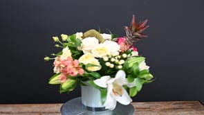 3 Piña Colada Paradise ProductCarouselURL