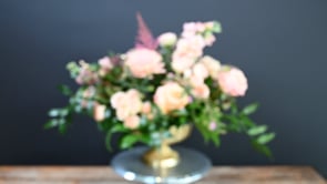 3 Duchess Peach ProductCarouselURL