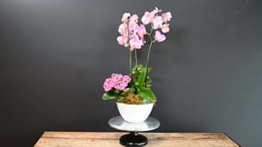 3 Stylish Grace ProductCarouselURL