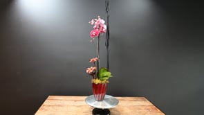 3 Ignara ProductCarouselURL