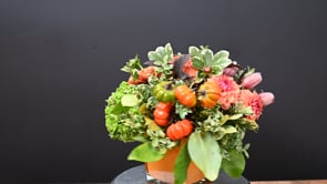 3 Orange Heart ProductCarouselURL