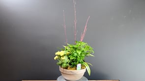 3 City Tropics ProductCarouselURL