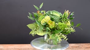 3 Fauna ProductCarouselURL