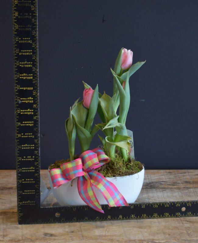 Tulip Planter