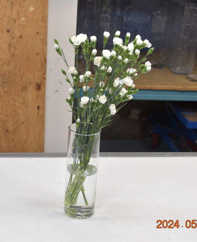 Carnation mini White