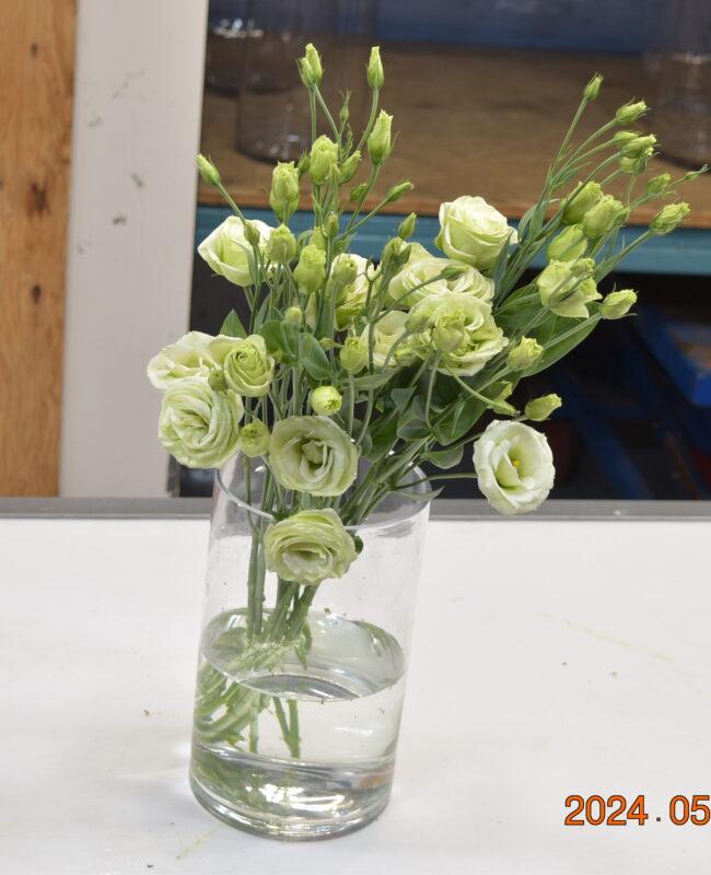 LISIANTHUS DBL CHACONNE GREEN